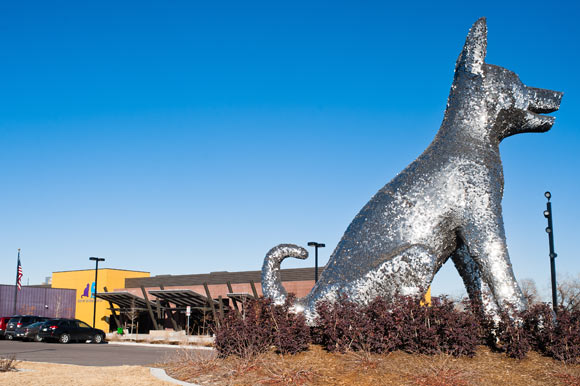 The new and modern Denver Animal Shelter.