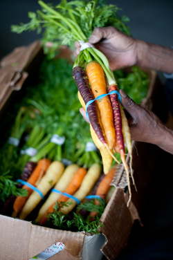 Carrots from Grower's Organic.