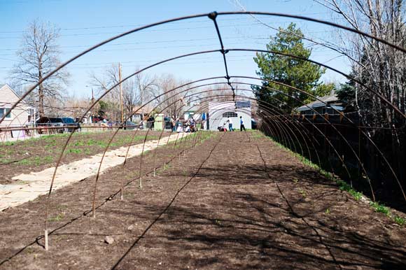 Winter crops will be planted under the hoop house.