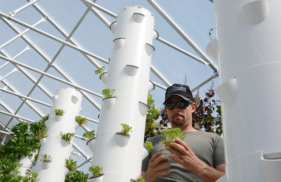 Evan Premer tends to greenhouse plants. 