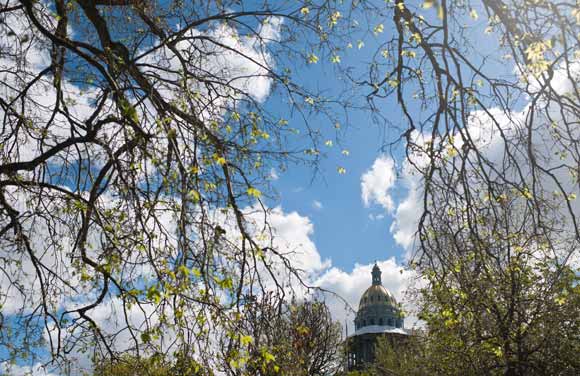 The golden dome of the Colorado State Capitol peeks out from blooming trees.