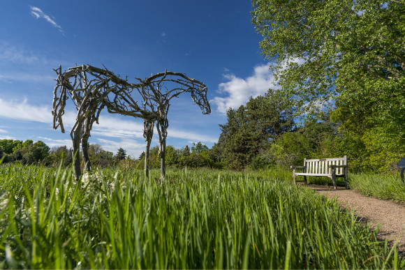 Unwind includes access to the special exhibition of Deborah Butterfield's equine sculptures.
