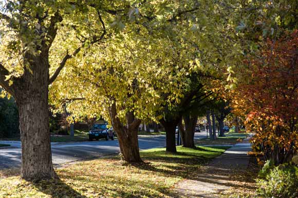 At 3,021 acres, Park Hill is Denver's largest original neighborhoods.