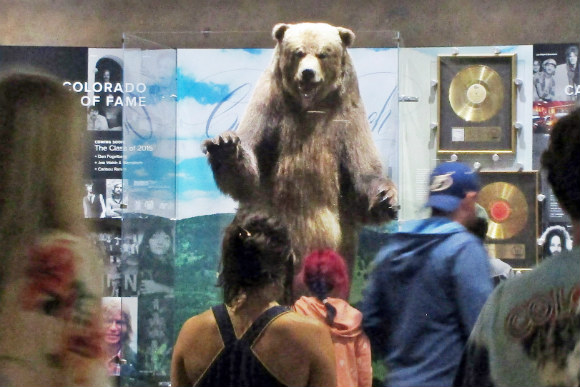 This bear in the Red Rocks Visitor Center is not the one that tried to sneak into a concert.