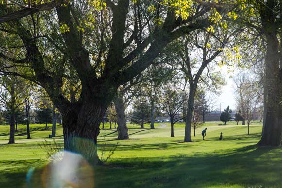 Historic Overland Golf Course could be the site of a new music festival starting in 2018.