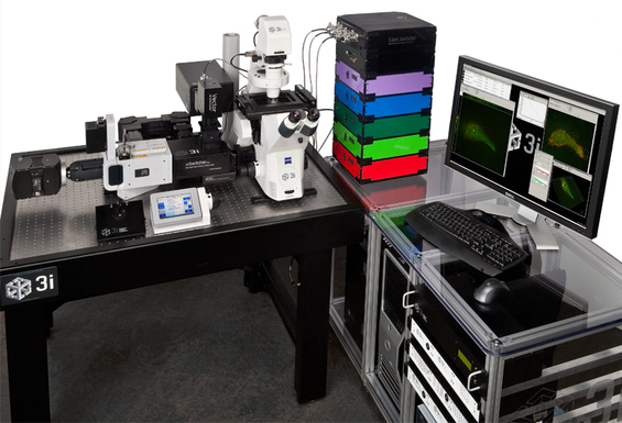 3i's microscope system.