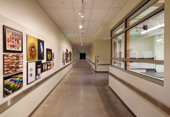 A corridor in the new wing.