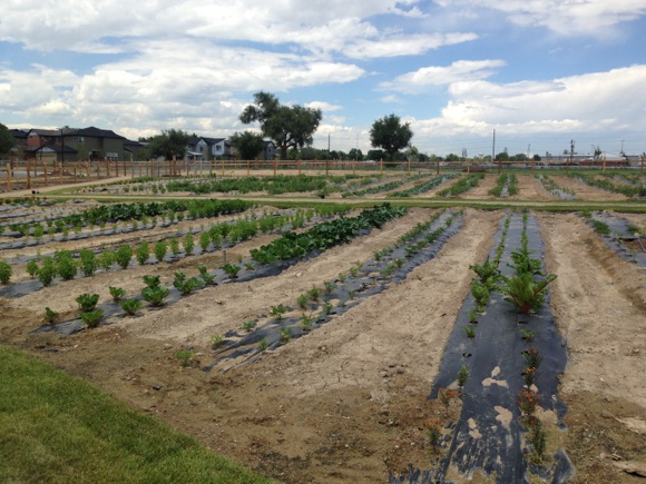 Personal garden plots range from 135 to 270 square feet