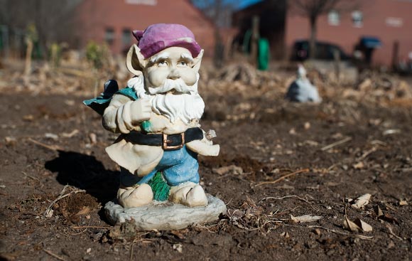 Denver Urban Gardens' mission is to provide sustainable, food-producing neighborhood community gardens.