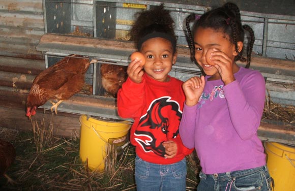 A tour of the chicken coop at High Plains Food Cooperative.