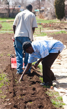 The one-acre farm helps to reconnect the Bantu with the land. 