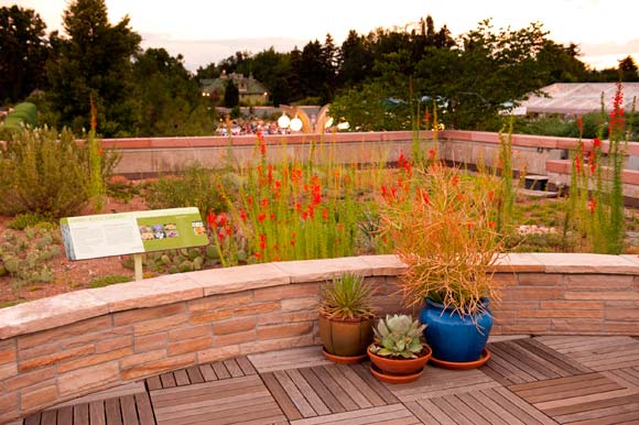 The Denver Botanic Garden's Green Roof Garden in 2011.