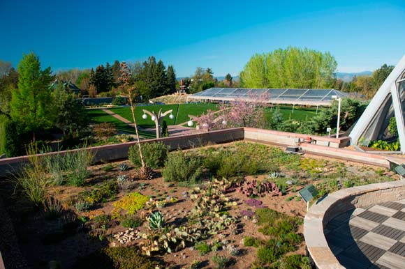 The Denver Botanic Garden's Green Roof Garden in 2012.