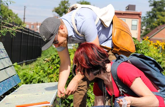 Participants look for edible weeds on Armstrong's urban-foraging walk.