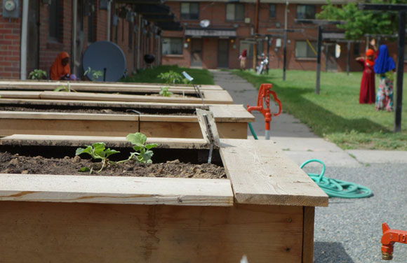 Gardens are part of the outdoor space at Mariposa.