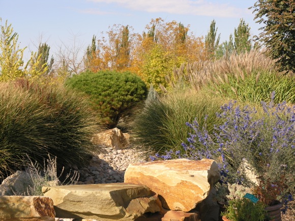 Denver Water coined the term, 'xeriscaping,' in 1981.