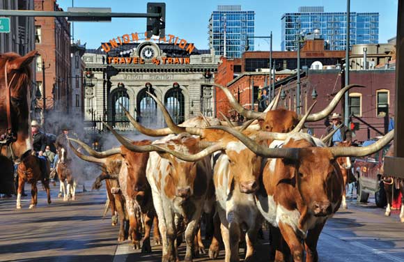 The annual parade runs from Union Station to the National Western Complex.