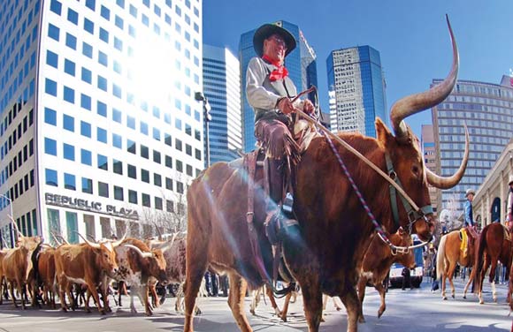Held each January, the world's largest stock show has called Denver home since 1906. 