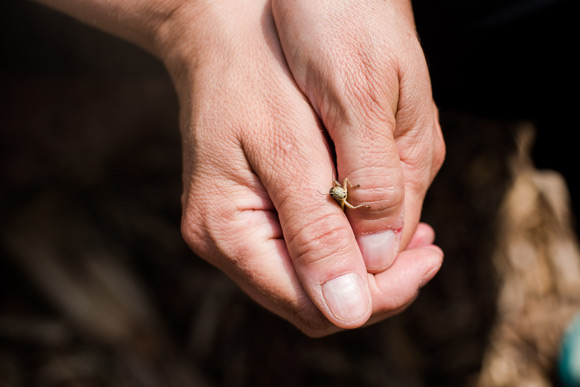 Her climate-controlled bug farm debuts in September in Denver's Valverde neighborhood.