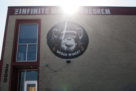 Infinite Monkey Theorem Urban Winery.