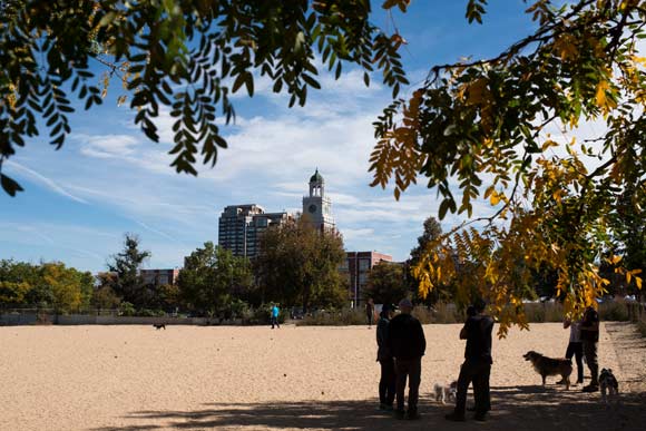 The closure of the city's most central off-leash park has residents up in arms.