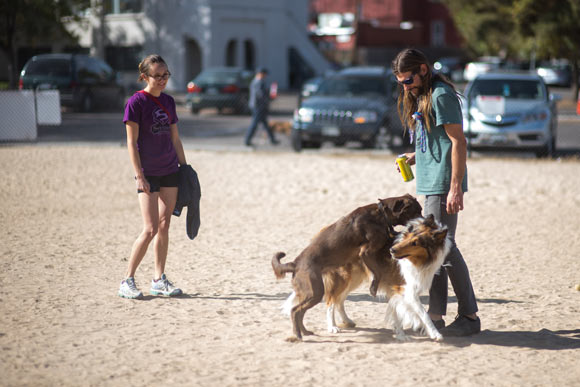 The closest designated spot to Josephine for that canine companionship is Fuller Park, near Manual High School.