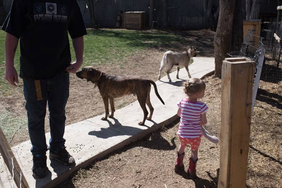 Heather Jimenez and her boyfriend keep four goats in their Denver backyard.