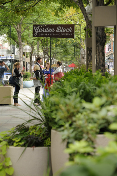 Garden Block took root on the 16th Street Mall in 2013.