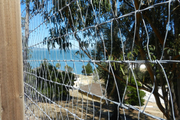 The view from Angel Island.