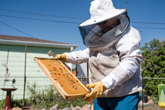 Crocetta began learning about honeybees in 2006.