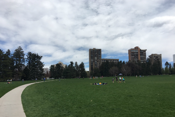 Cheesman Park was once known as "The Boneyard."