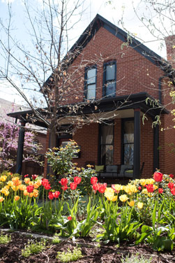 The blooming bulbs are seasonal, but the beauty of this residential block is year-round.