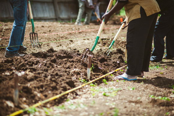 In 2015, 390 families pulled 45,000 pounds of produce from Westwood's promotoras.