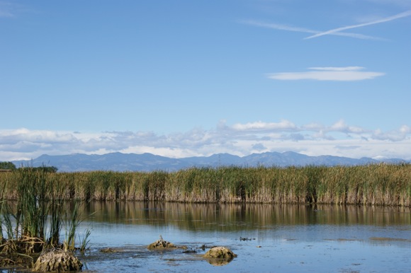 The lakes provide habitat for snapping turtles, northern pike and other wildlife.