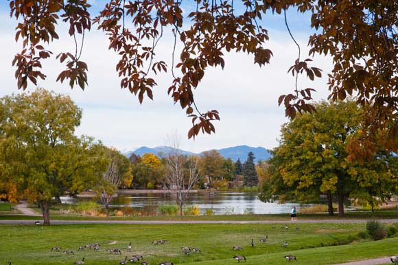 A view of Washington Park