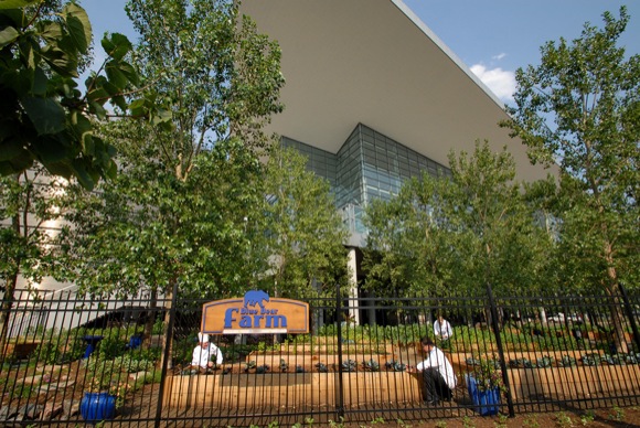 The Colorado Convention Center's Blue Bear Farm.