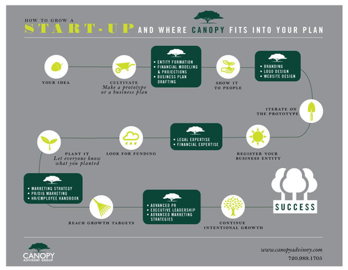 The Canopy Advisory Group process.