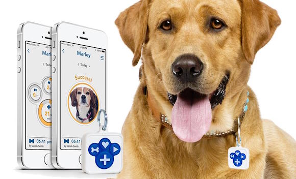 Pettag+ is launching a connected pet tag.