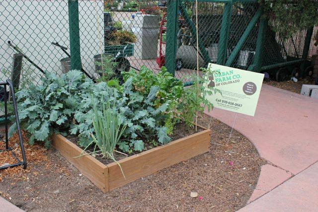 An Urban Farm plot.